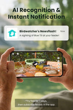 Bebedouro para pássaros com câmara, energia solar, identificação por IA, visualização ao vivo, notificações instantâneas