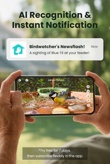 Bebedouro para pássaros com câmara, energia solar, identificação por IA, visualização ao vivo, notificações instantâneas