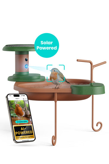 Bebedouro para pássaros com câmara, energia solar, identificação por IA, visualização ao vivo, notificações instantâneas