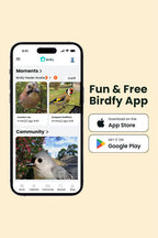 Comedouro inteligente para aves: câmara 1080P/60fps, IA, visão noturna, nuvem e suporte para sebo