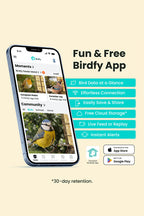 Comedouro inteligente para aves: câmara 1080P/60fps, IA, visão noturna, nuvem e suporte para sebo