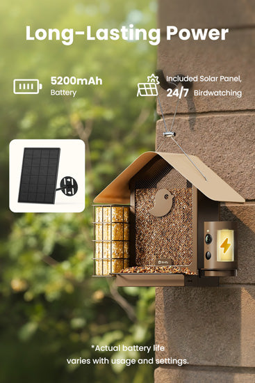 Comedouro inteligente para aves: câmara 1080P/60fps, IA, visão noturna, nuvem e suporte para sebo