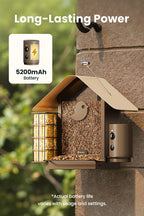 Comedouro inteligente para aves: câmara 1080P/60fps, IA, visão noturna, nuvem e suporte para sebo