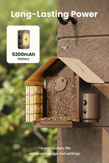 Comedouro inteligente para aves: câmara 1080P/60fps, IA, visão noturna, nuvem e suporte para sebo