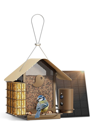 Comedouro inteligente para aves: câmara 1080P/60fps, IA, visão noturna, nuvem e suporte para sebo