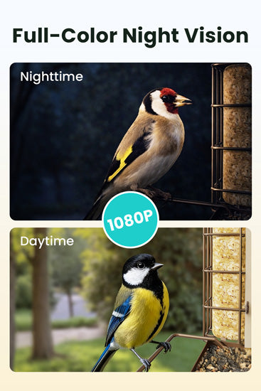 Comedouro inteligente para aves: câmara 1080P/60fps, IA, visão noturna, nuvem e suporte para sebo