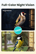 Comedouro inteligente para aves: câmara 1080P/60fps, IA, visão noturna, nuvem e suporte para sebo