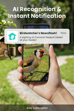 Comedouro inteligente para aves: câmara 1080P/60fps, IA, visão noturna, nuvem e suporte para sebo