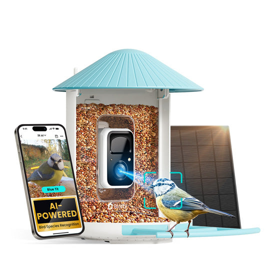 Comedouro solar com câmara automática e detecção de movimento. Ideal para amantes de aves