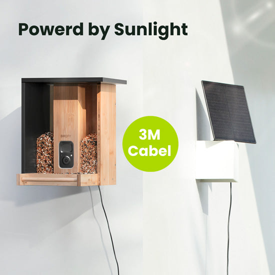 Feeder Bamboo com IA grátis para sempre e energia solar