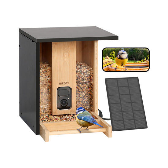 Feeder Bamboo com IA grátis para sempre e energia solar
