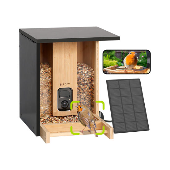 Feeder Bamboo com IA grátis para sempre e energia solar