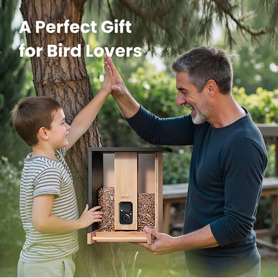 Feeder Bamboo com IA grátis para sempre e energia solar