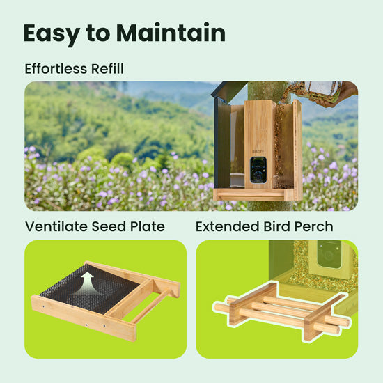 Feeder Bamboo com IA grátis para sempre e energia solar