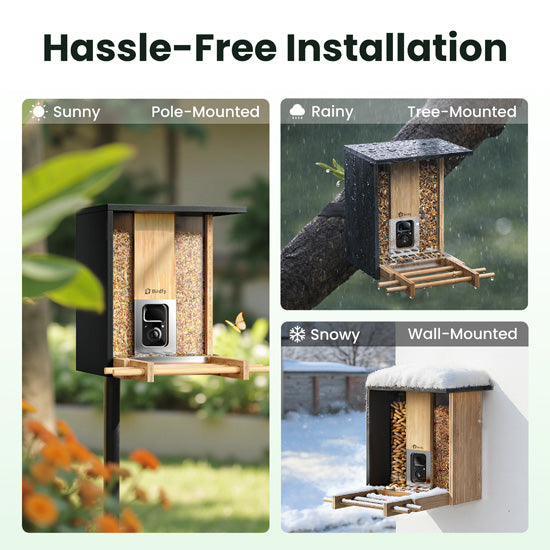 Feeder Bamboo com IA grátis para sempre e energia solar