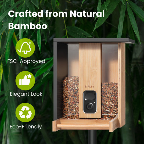 Feeder Bamboo com IA grátis para sempre e energia solar