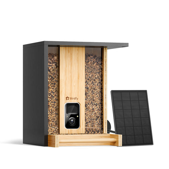 Feeder Bamboo com IA grátis para sempre e energia solar