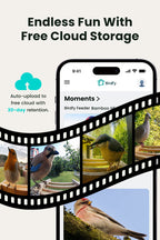 Comedouro para pássaros com câmara: captura automática, notificações em tempo real e poderoso reconhecimento por IA