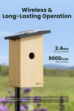 Casinha inteligente para pássaros, câmara HD 1080P, painel solar — Visualização ao vivo e incubação