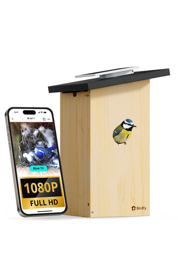 Casinha inteligente para pássaros, câmara HD 1080P, painel solar — Visualização ao vivo e incubação