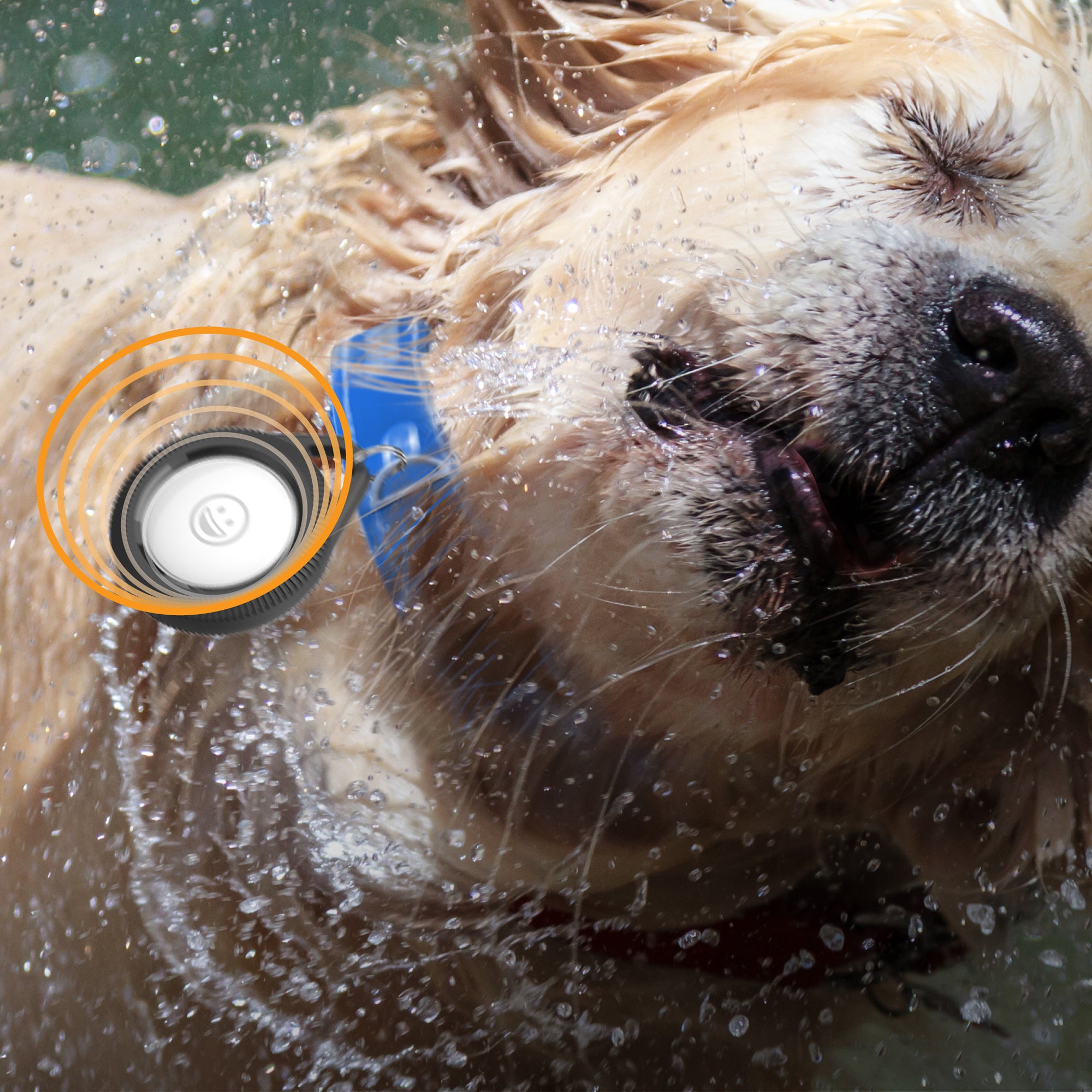 Total Protection Hang-It AirTag Preto