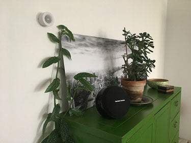 Motion Sensor EnOcean